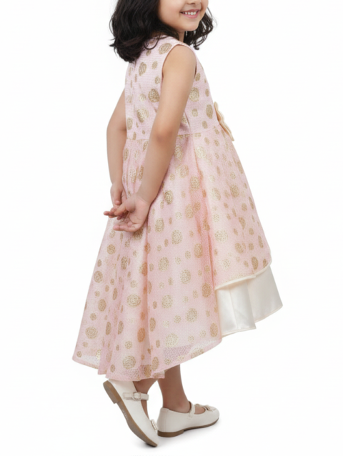 Golden Blossom Pink Party Frock